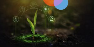 tecnologias-sustentaveis-comercio-de-credito-de-carbono-agro